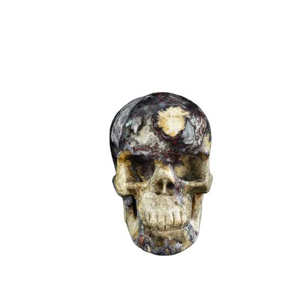 3.0" Blue Flower Agate Crystal Skull Carving - Unique Piece #BF19