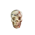 3.0" Blue Flower Agate Crystal Skull Carving - Unique Piece #BF20