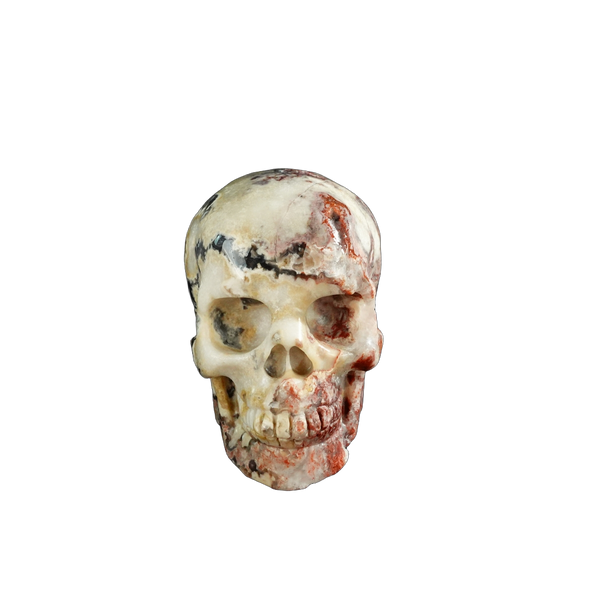 3.0" Blue Flower Agate Crystal Skull Carving - Unique Piece #BF20