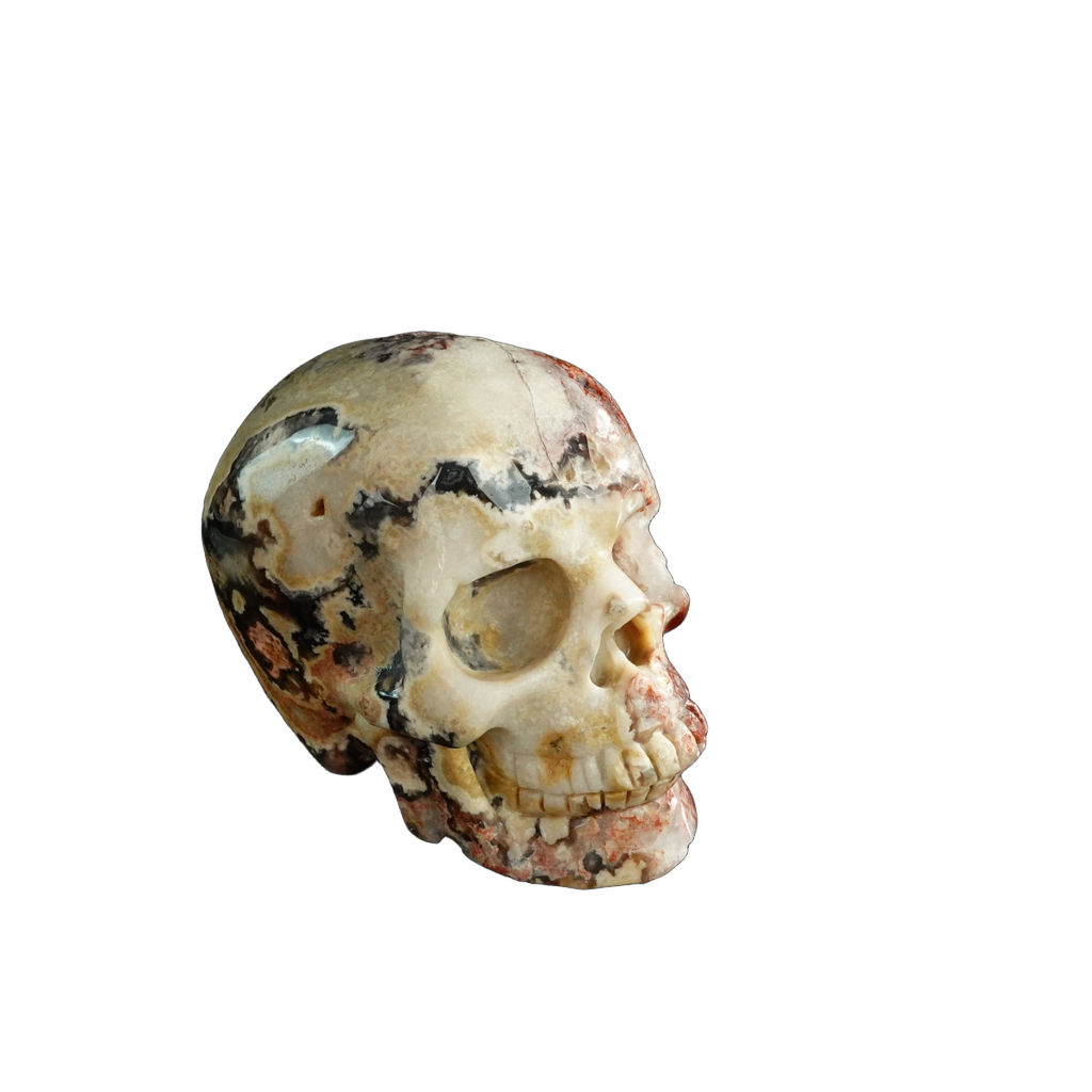 3.0" Blue Flower Agate Crystal Skull Carving - Unique Piece #BF20