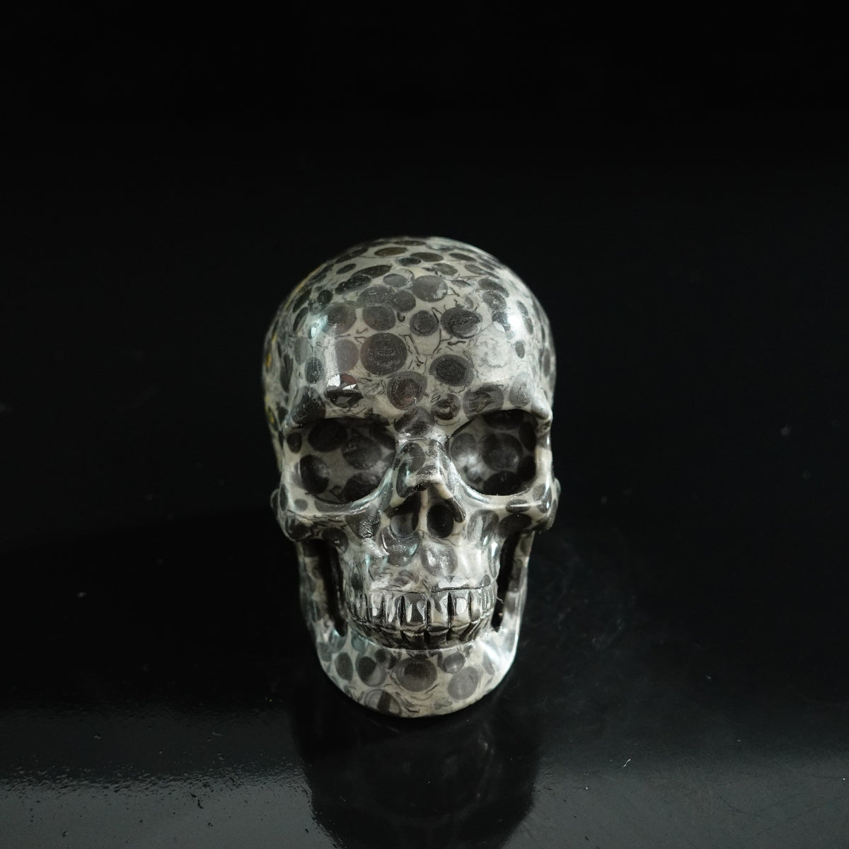 3.0" Leopard skin jasper Crystal Skull Carving - Unique Piece #LK01