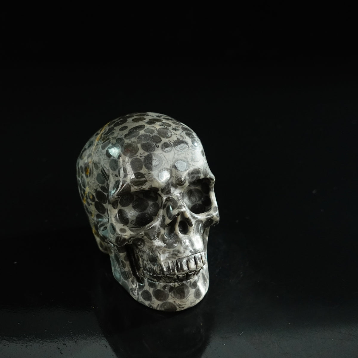 3.0" Leopard skin jasper Crystal Skull Carving - Unique Piece #LK01