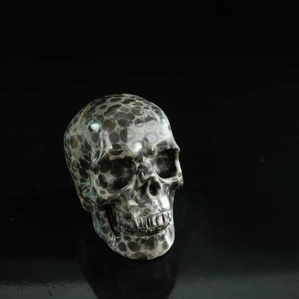 3.0" Leopard skin jasper Crystal Skull Carving - Unique Piece #LK01 - alternate view