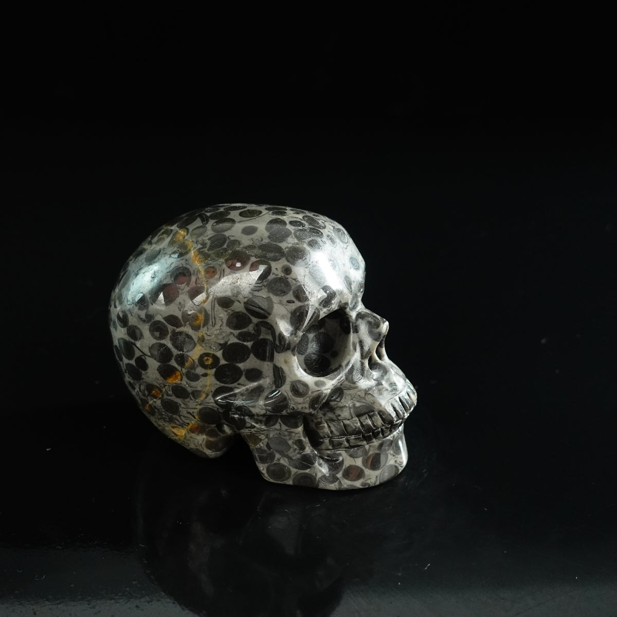 3.0" Leopard skin jasper Crystal Skull Carving - Unique Piece #LK01
