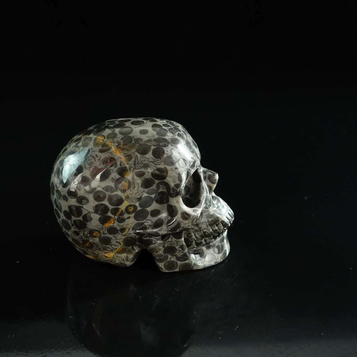 3.0" Leopard skin jasper Crystal Skull Carving - Unique Piece #LK01