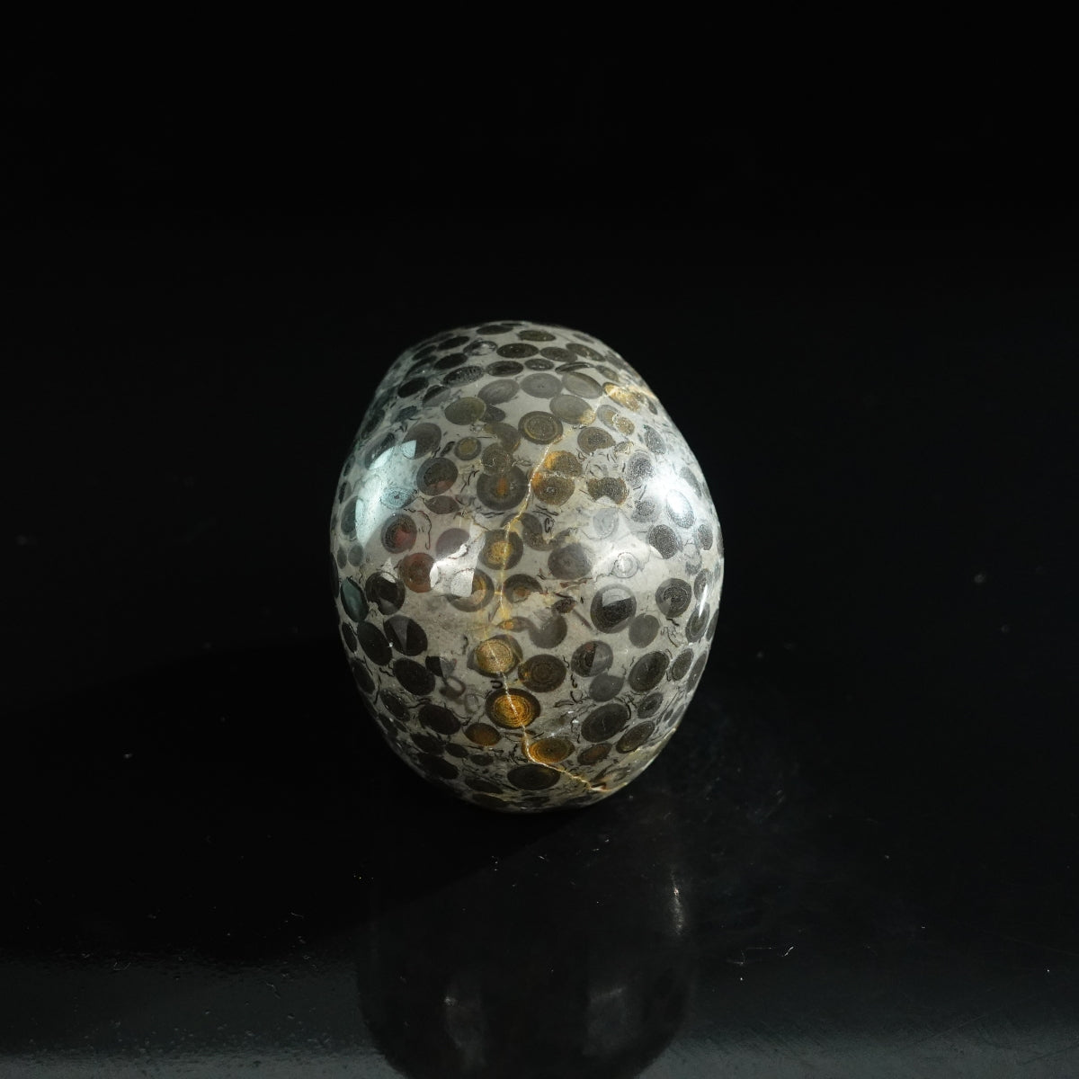 3.0" Leopard skin jasper Crystal Skull Carving - Unique Piece #LK01
