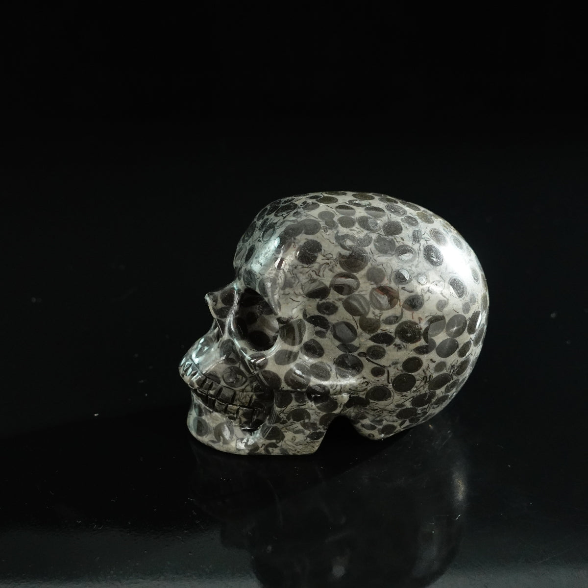 3.0" Leopard skin jasper Crystal Skull Carving - Unique Piece #LK01