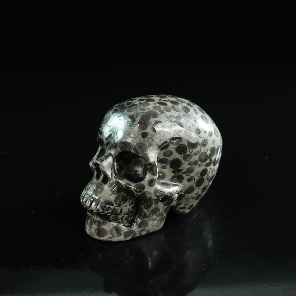 3.0" Leopard skin jasper Crystal Skull Carving - Unique Piece #LK01
