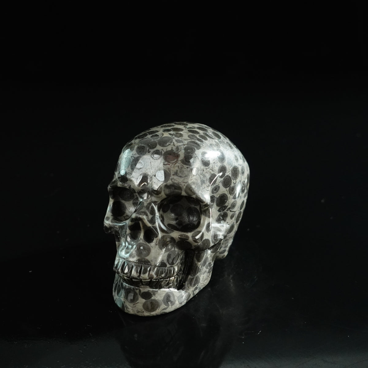 3.0" Leopard skin jasper Crystal Skull Carving - Unique Piece #LK01