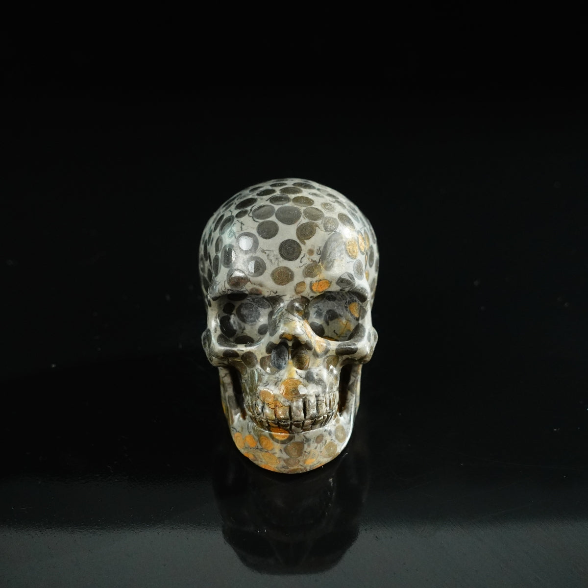 3.0" Leopard skin jasper Crystal Skull Carving - Unique Piece #LK02
