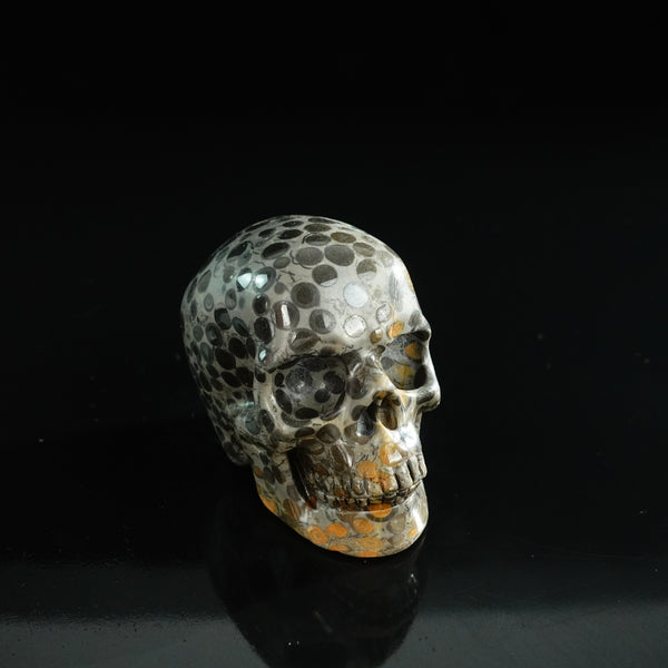 3.0" Leopard skin jasper Crystal Skull Carving - Unique Piece #LK02 - alternate view