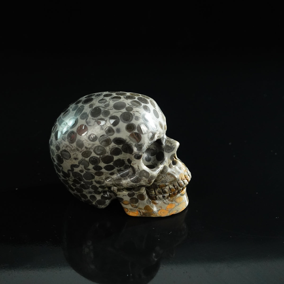 3.0" Leopard skin jasper Crystal Skull Carving - Unique Piece #LK02