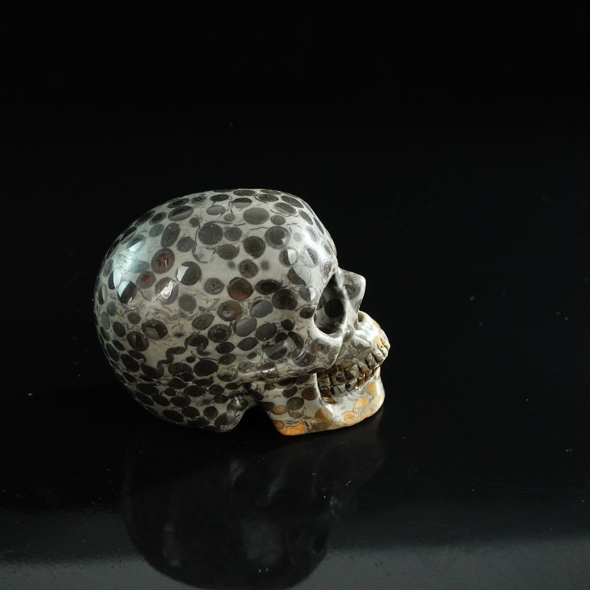 3.0" Leopard skin jasper Crystal Skull Carving - Unique Piece #LK02