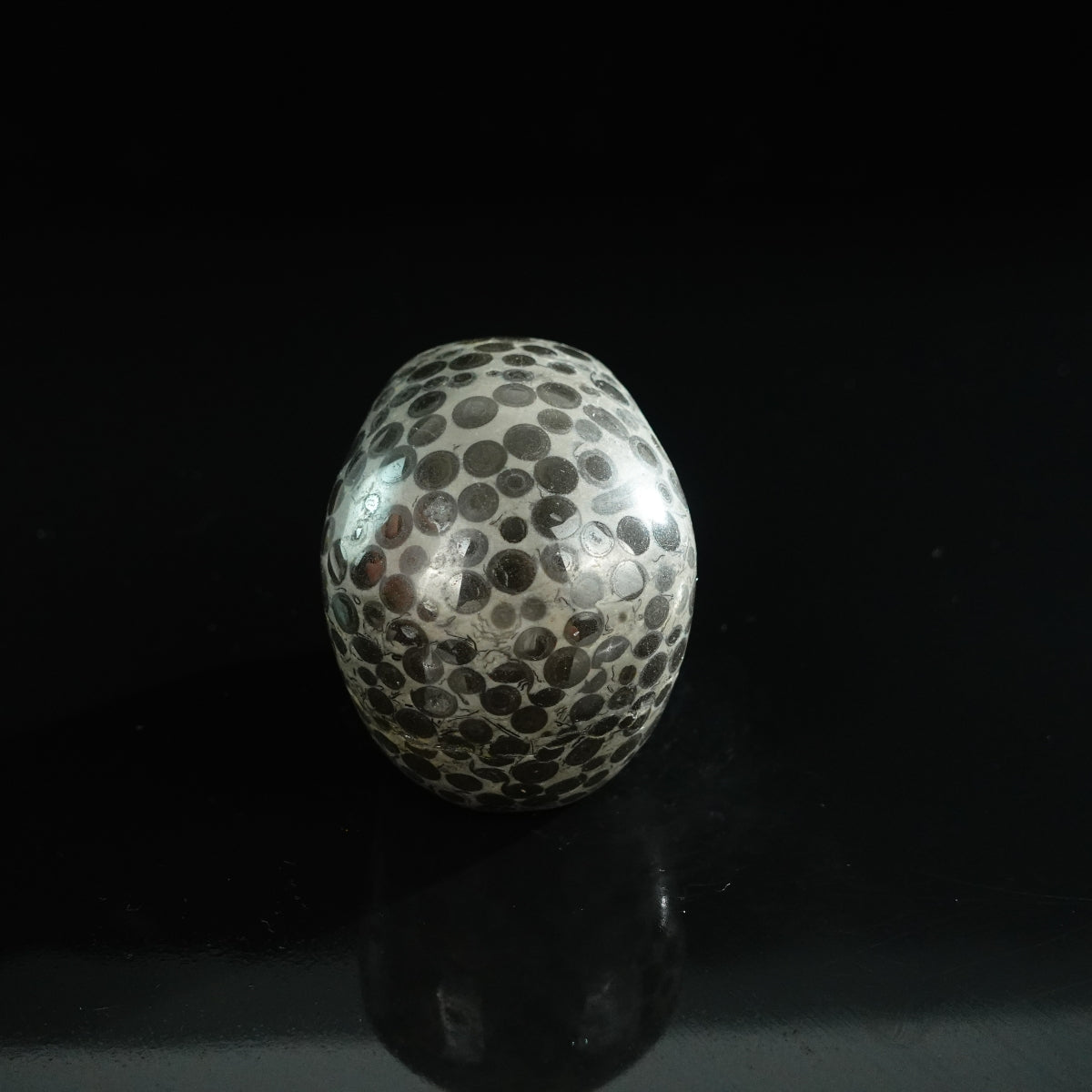 3.0" Leopard skin jasper Crystal Skull Carving - Unique Piece #LK02