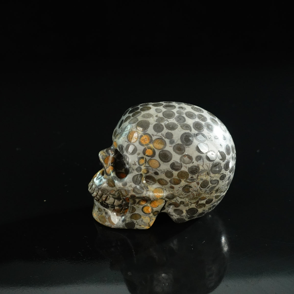 3.0" Leopard skin jasper Crystal Skull Carving - Unique Piece #LK02