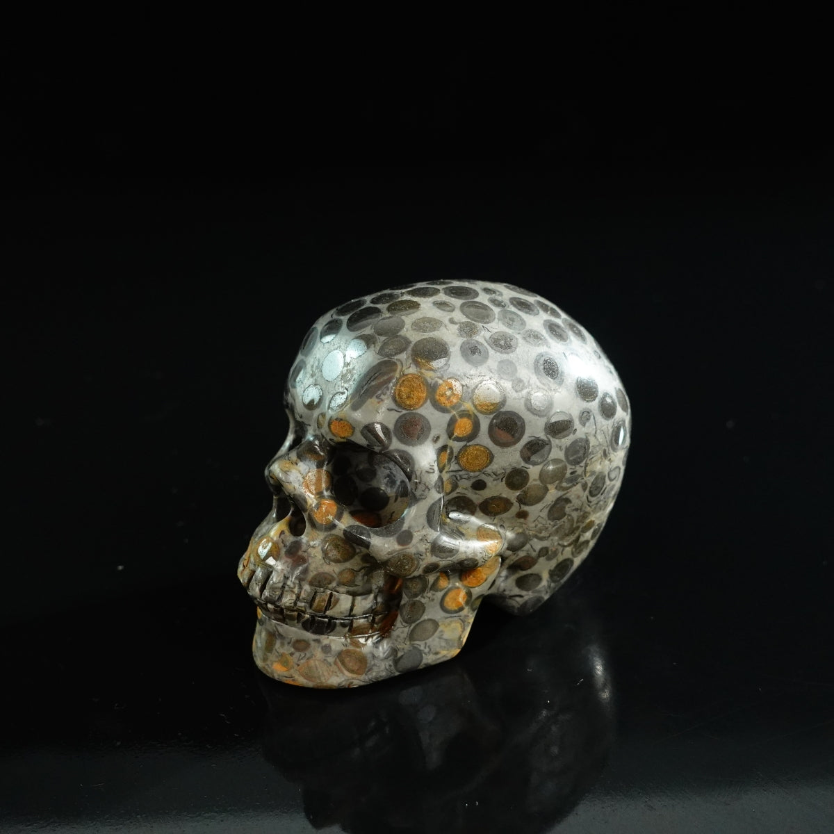 3.0" Leopard skin jasper Crystal Skull Carving - Unique Piece #LK02
