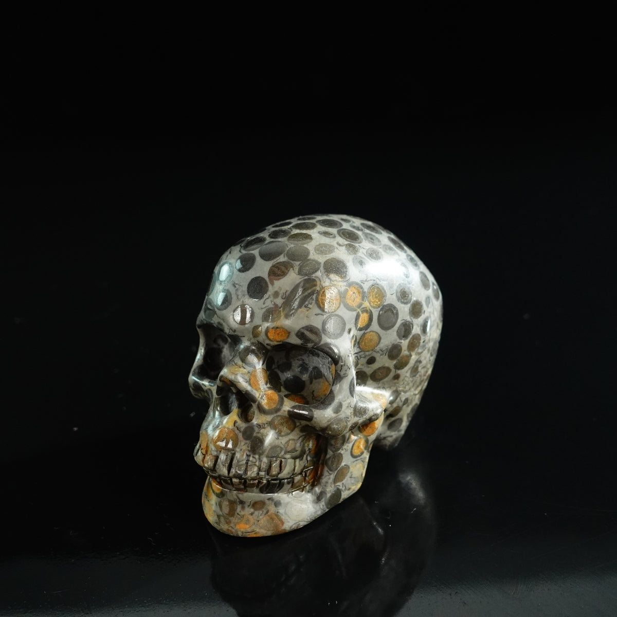 3.0" Leopard skin jasper Crystal Skull Carving - Unique Piece #LK02