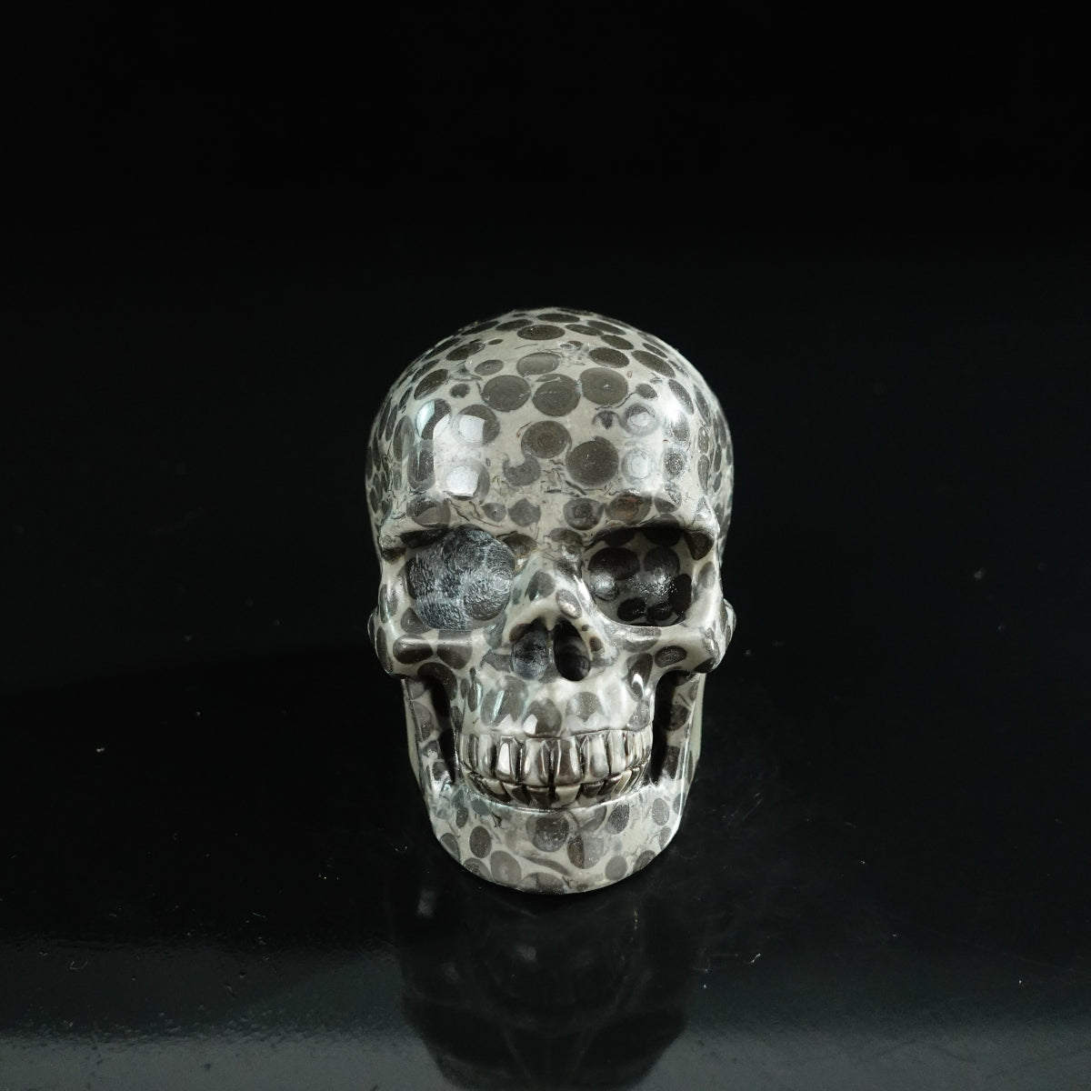 3.0" Leopard skin jasper Crystal Skull Carving - Unique Piece #LK03