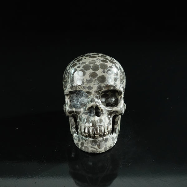 3.0" Leopard skin jasper Crystal Skull Carving - Unique Piece #LK03