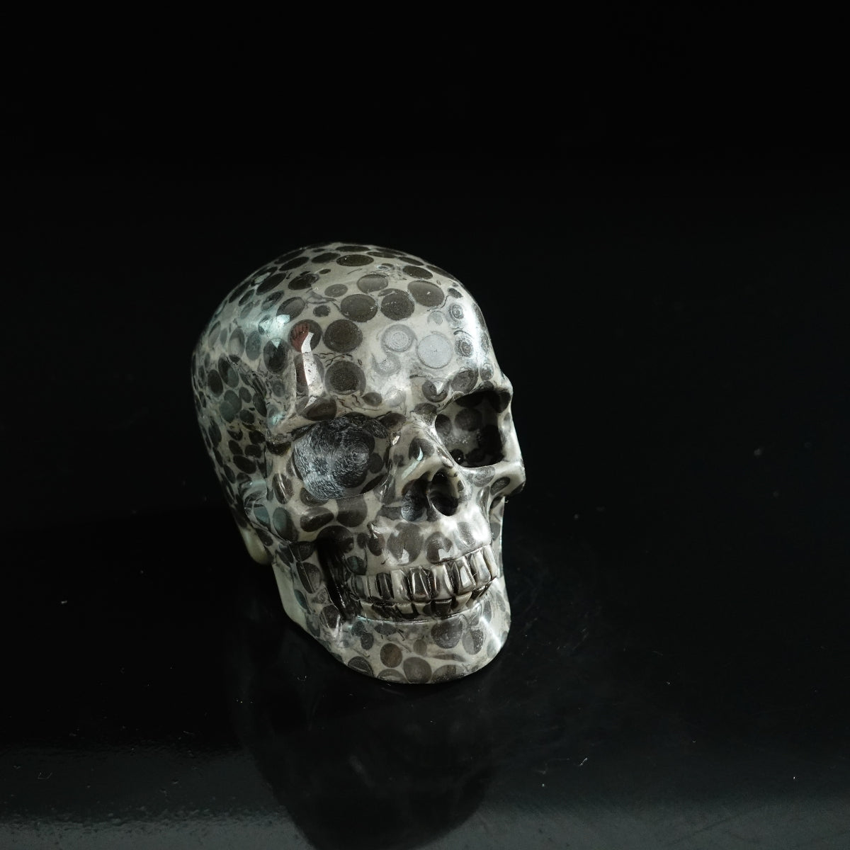 3.0" Leopard skin jasper Crystal Skull Carving - Unique Piece #LK03