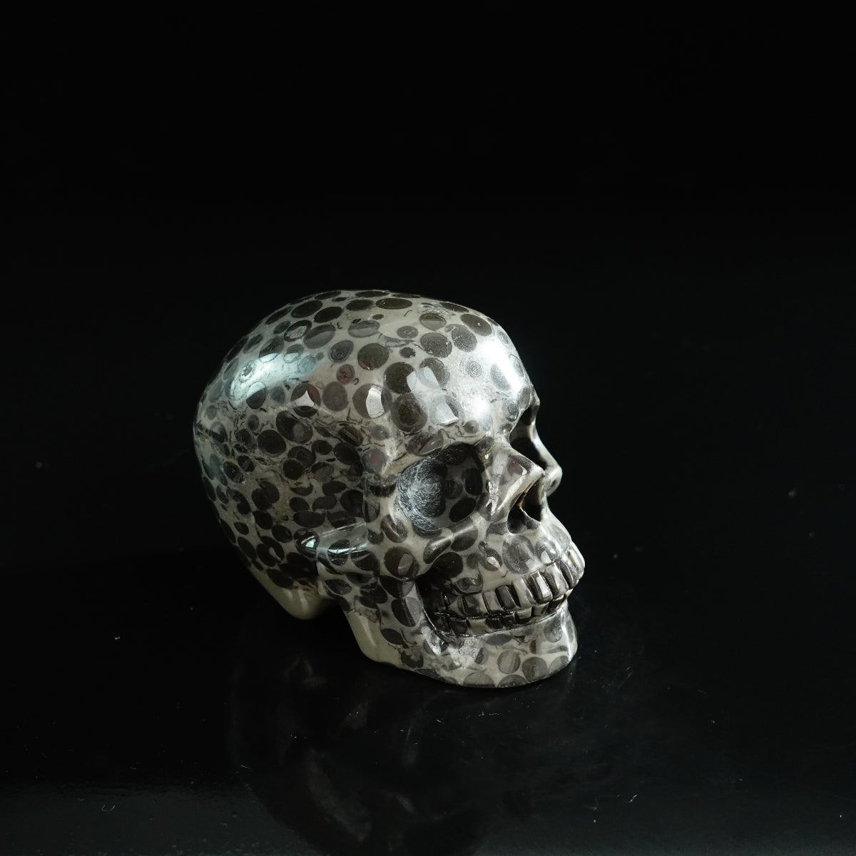 3.0" Leopard skin jasper Crystal Skull Carving - Unique Piece #LK03