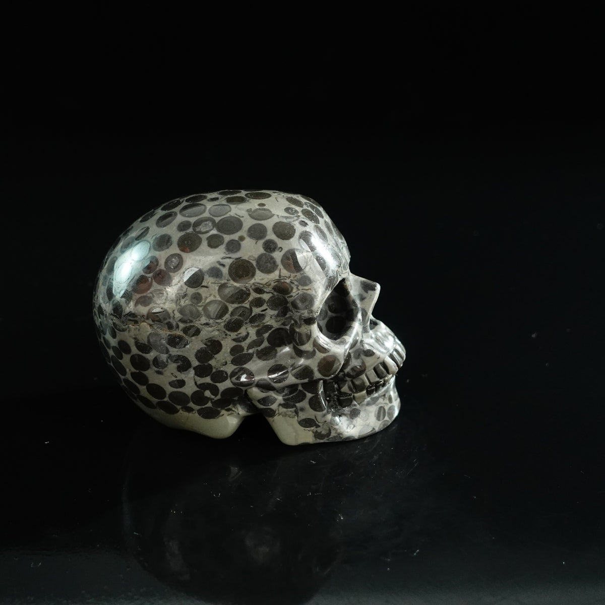 3.0" Leopard skin jasper Crystal Skull Carving - Unique Piece #LK03