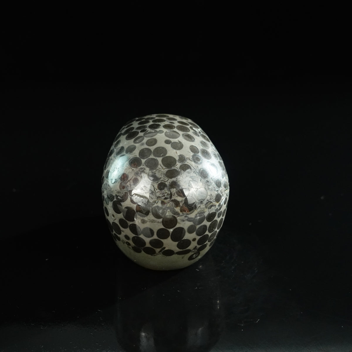3.0" Leopard skin jasper Crystal Skull Carving - Unique Piece #LK03