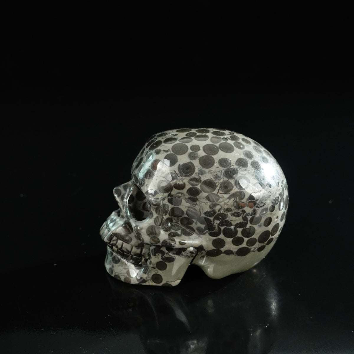 3.0" Leopard skin jasper Crystal Skull Carving - Unique Piece #LK03