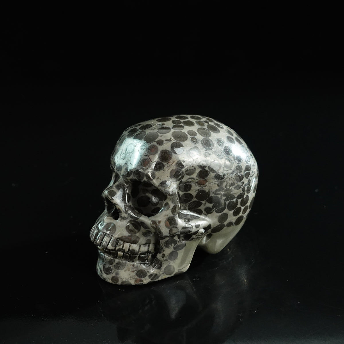 3.0" Leopard skin jasper Crystal Skull Carving - Unique Piece #LK03