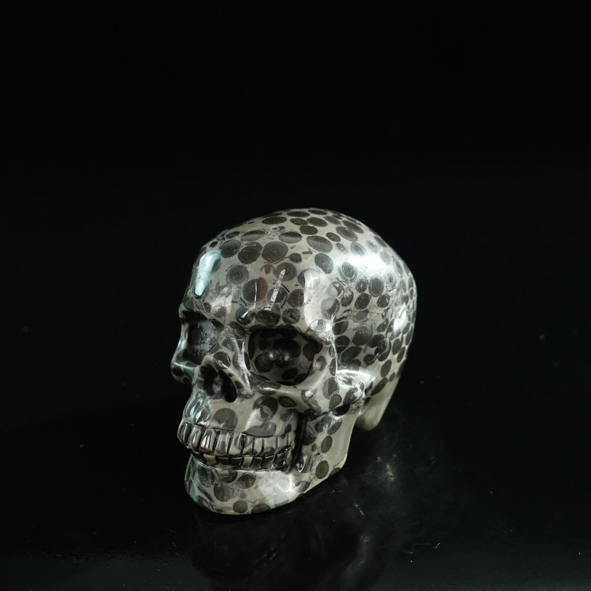 3.0" Leopard skin jasper Crystal Skull Carving - Unique Piece #LK03