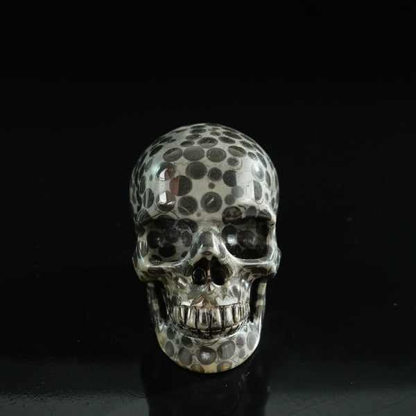 3.0" Leopard skin jasper Crystal Skull Carving - Unique Piece #LK04