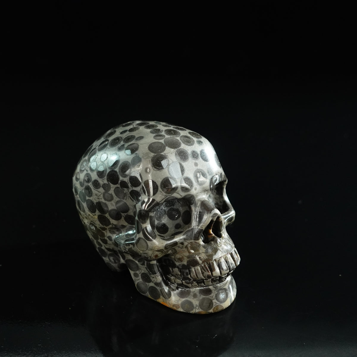 3.0" Leopard skin jasper Crystal Skull Carving - Unique Piece #LK04