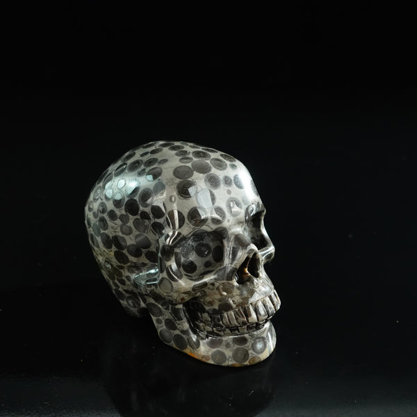3.0" Leopard skin jasper Crystal Skull Carving - Unique Piece #LK04 - alternate view
