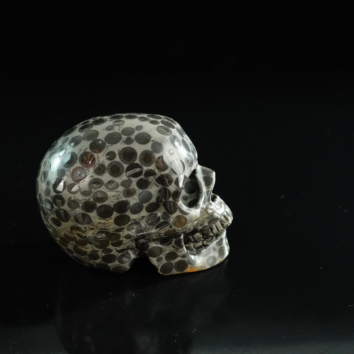 3.0" Leopard skin jasper Crystal Skull Carving - Unique Piece #LK04