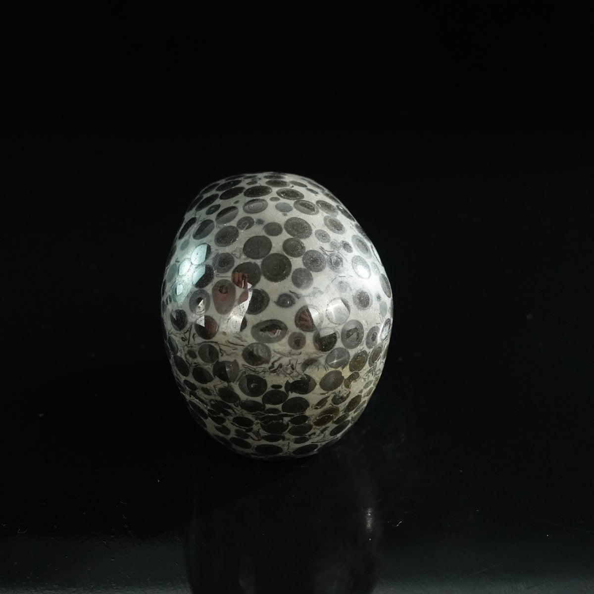 3.0" Leopard skin jasper Crystal Skull Carving - Unique Piece #LK04