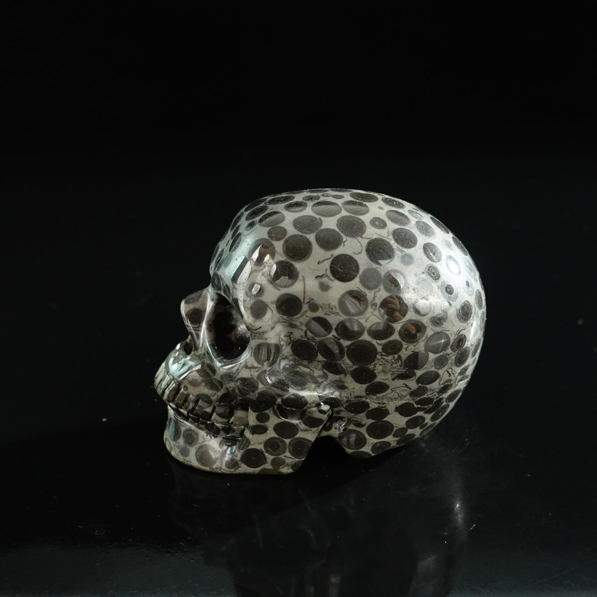 3.0" Leopard skin jasper Crystal Skull Carving - Unique Piece #LK04