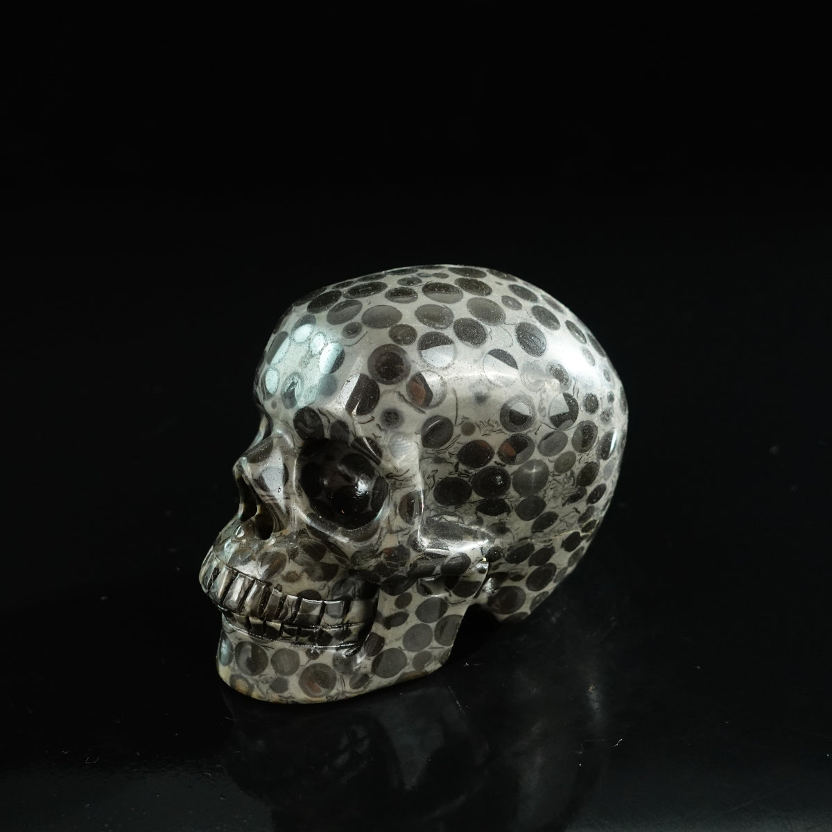 3.0" Leopard skin jasper Crystal Skull Carving - Unique Piece #LK04