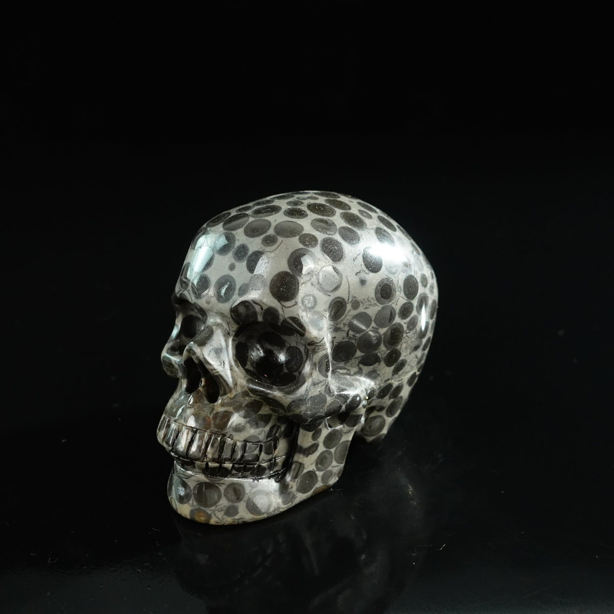 3.0" Leopard skin jasper Crystal Skull Carving - Unique Piece #LK04
