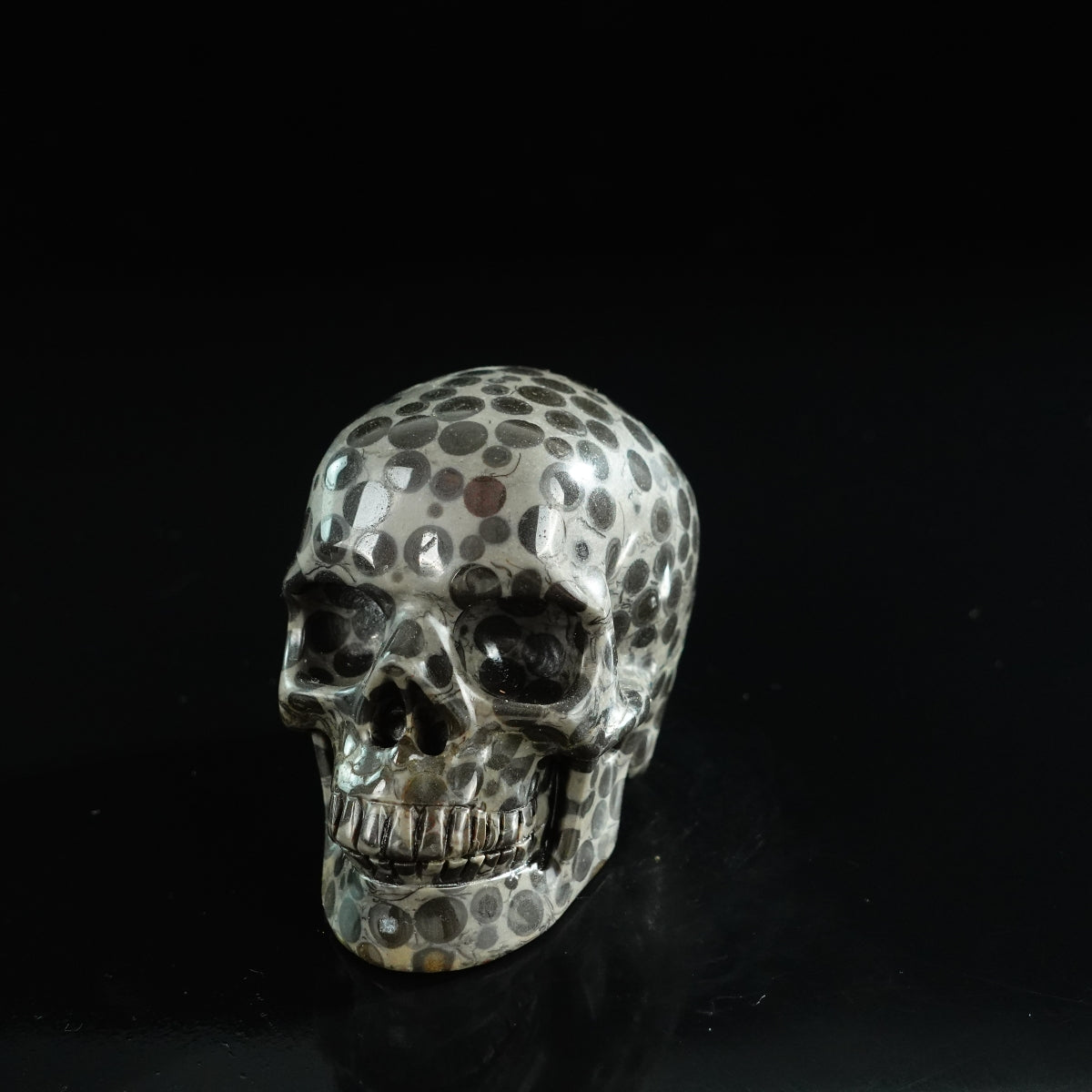 3.0" Leopard skin jasper Crystal Skull Carving - Unique Piece #LK04
