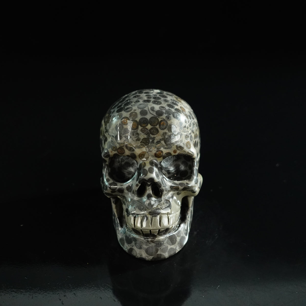3.0" Leopard skin jasper Crystal Skull Carving - Unique Piece #LK05