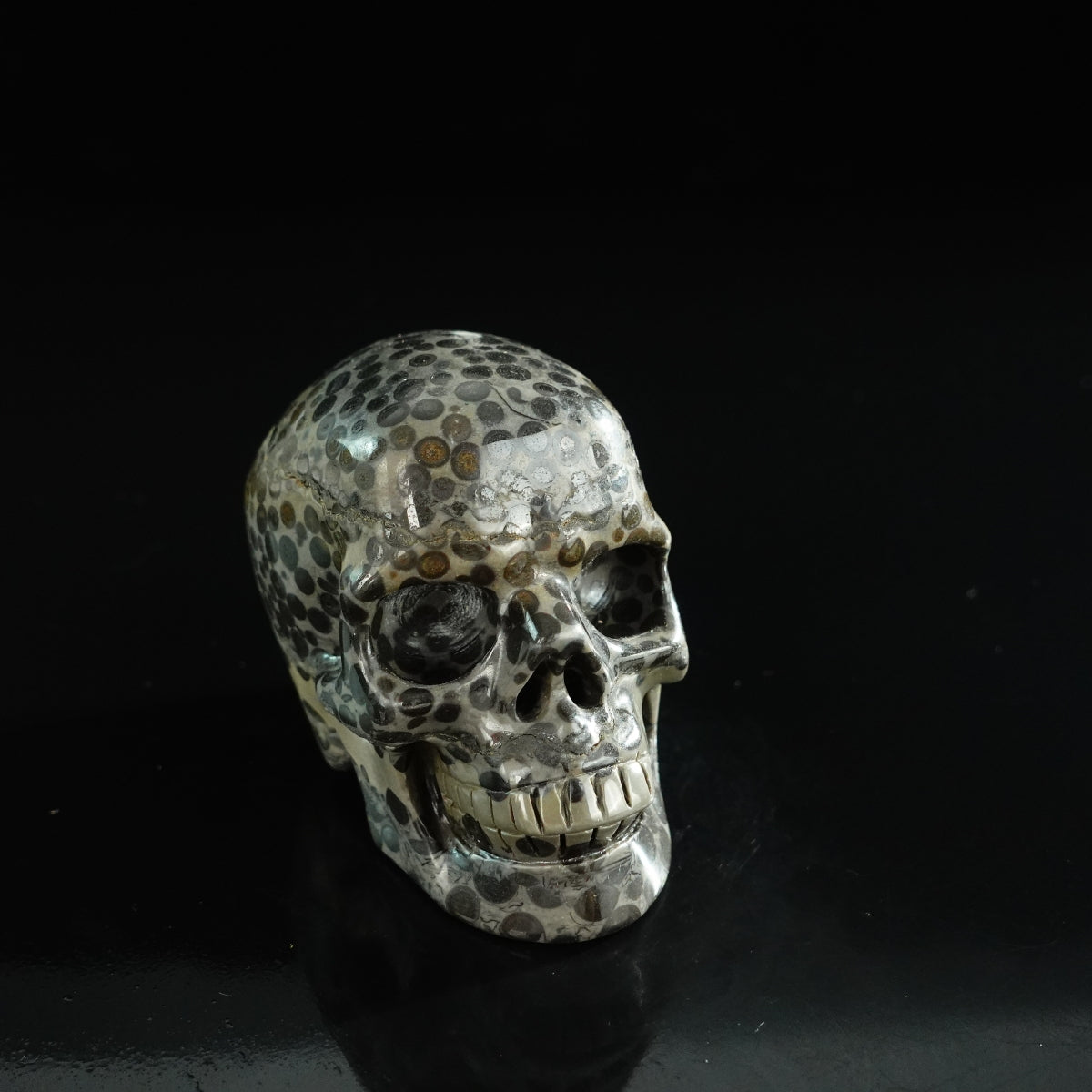 3.0" Leopard skin jasper Crystal Skull Carving - Unique Piece #LK05