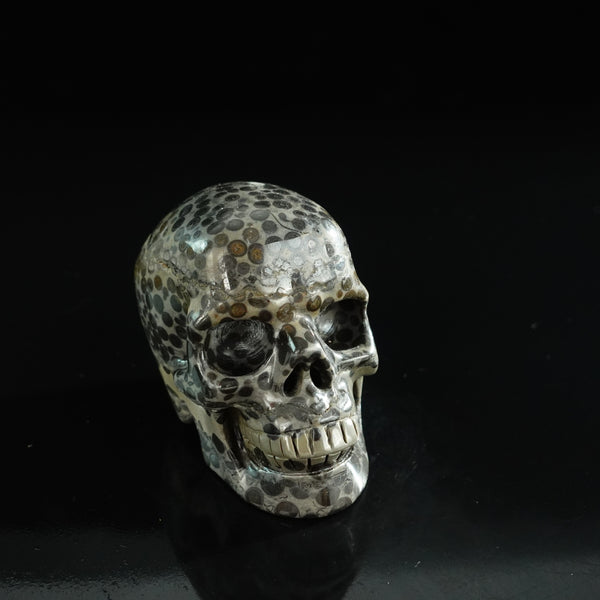 3.0" Leopard skin jasper Crystal Skull Carving - Unique Piece #LK05 - alternate view