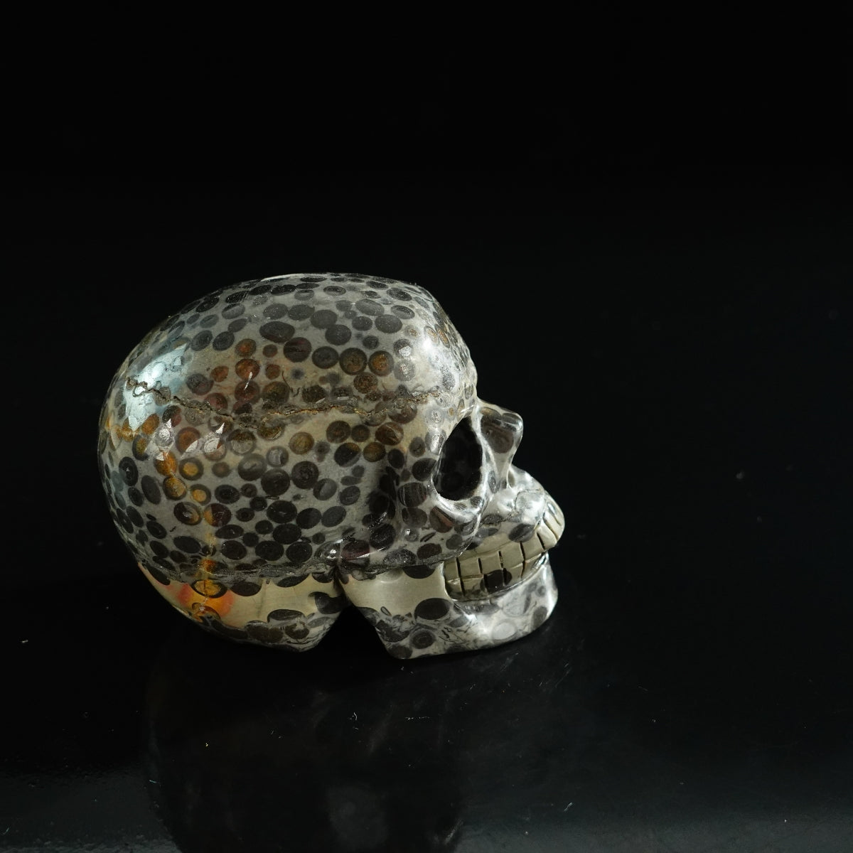 3.0" Leopard skin jasper Crystal Skull Carving - Unique Piece #LK05