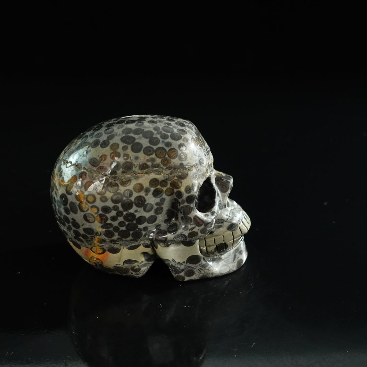 3.0" Leopard skin jasper Crystal Skull Carving - Unique Piece #LK05