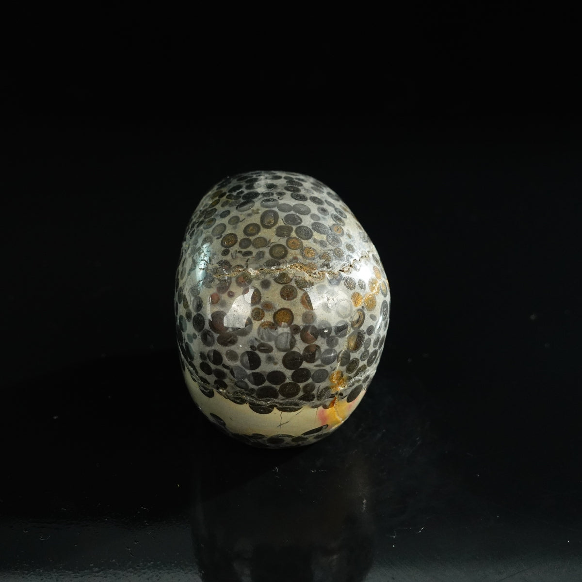 3.0" Leopard skin jasper Crystal Skull Carving - Unique Piece #LK05