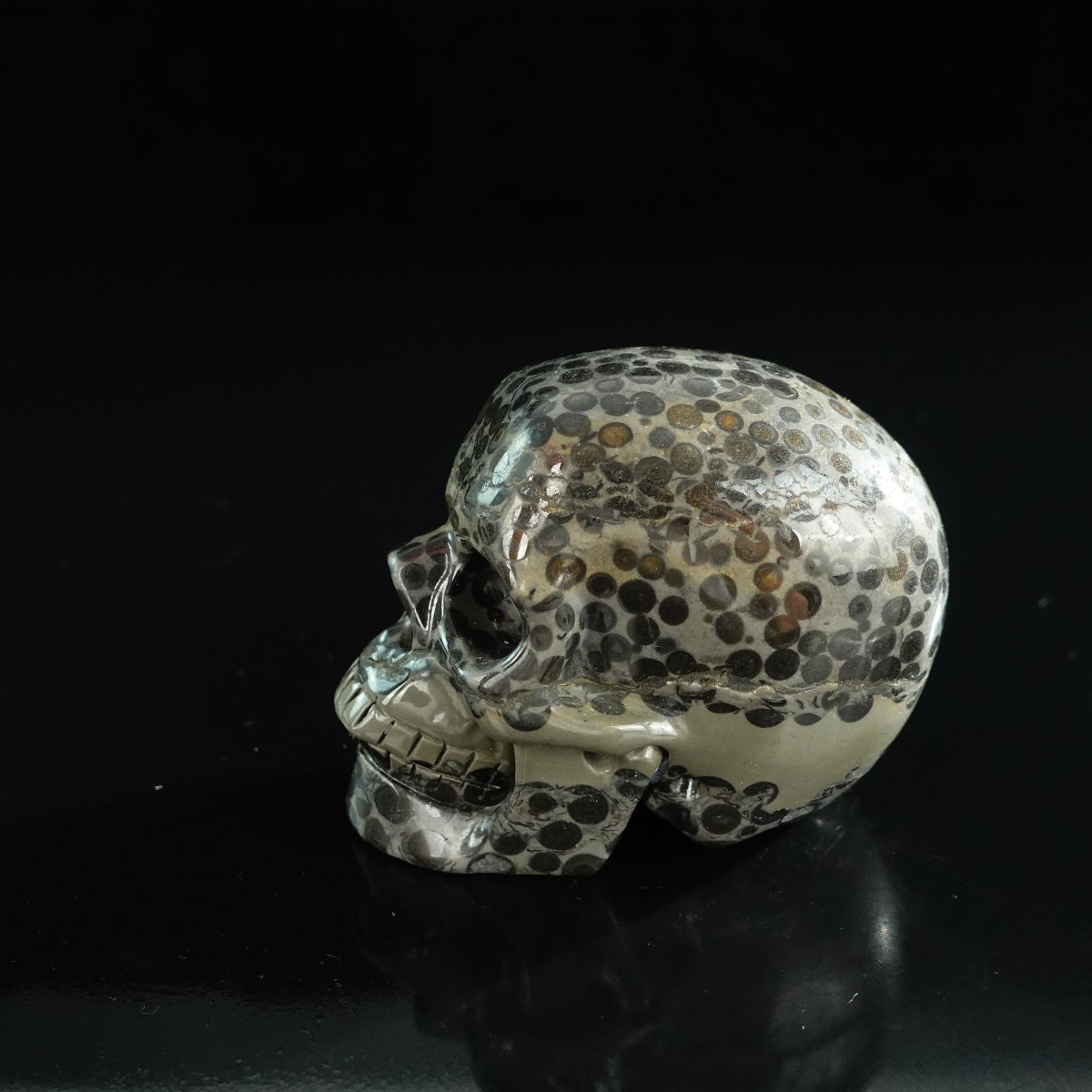 3.0" Leopard skin jasper Crystal Skull Carving - Unique Piece #LK05