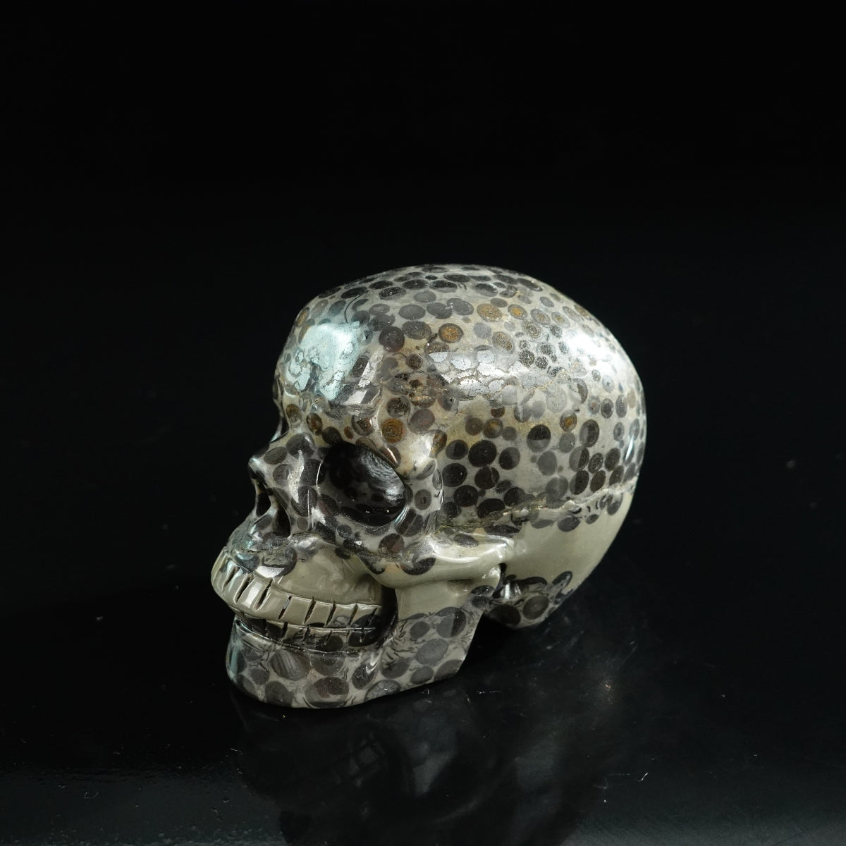 3.0" Leopard skin jasper Crystal Skull Carving - Unique Piece #LK05