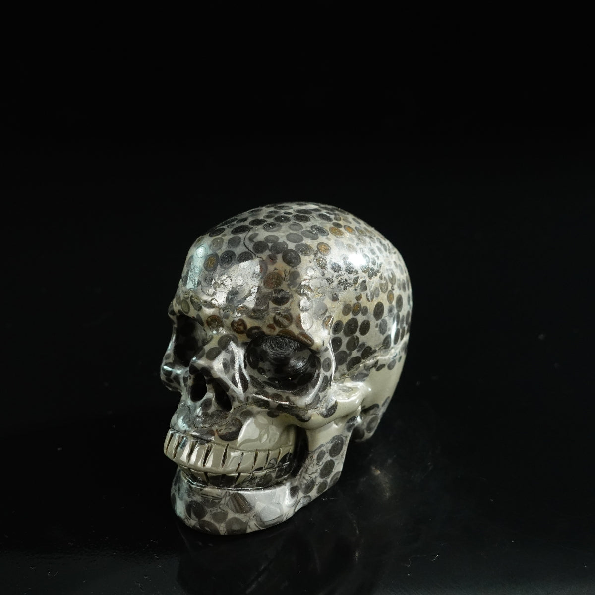 3.0" Leopard skin jasper Crystal Skull Carving - Unique Piece #LK05