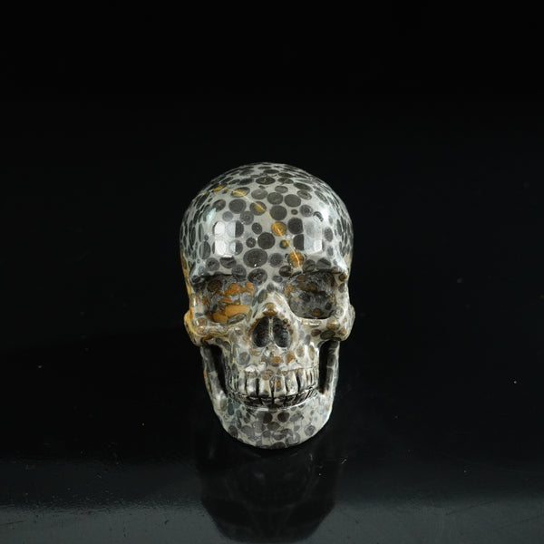 3.0" Leopard skin jasper Crystal Skull Carving - Unique Piece #LK06
