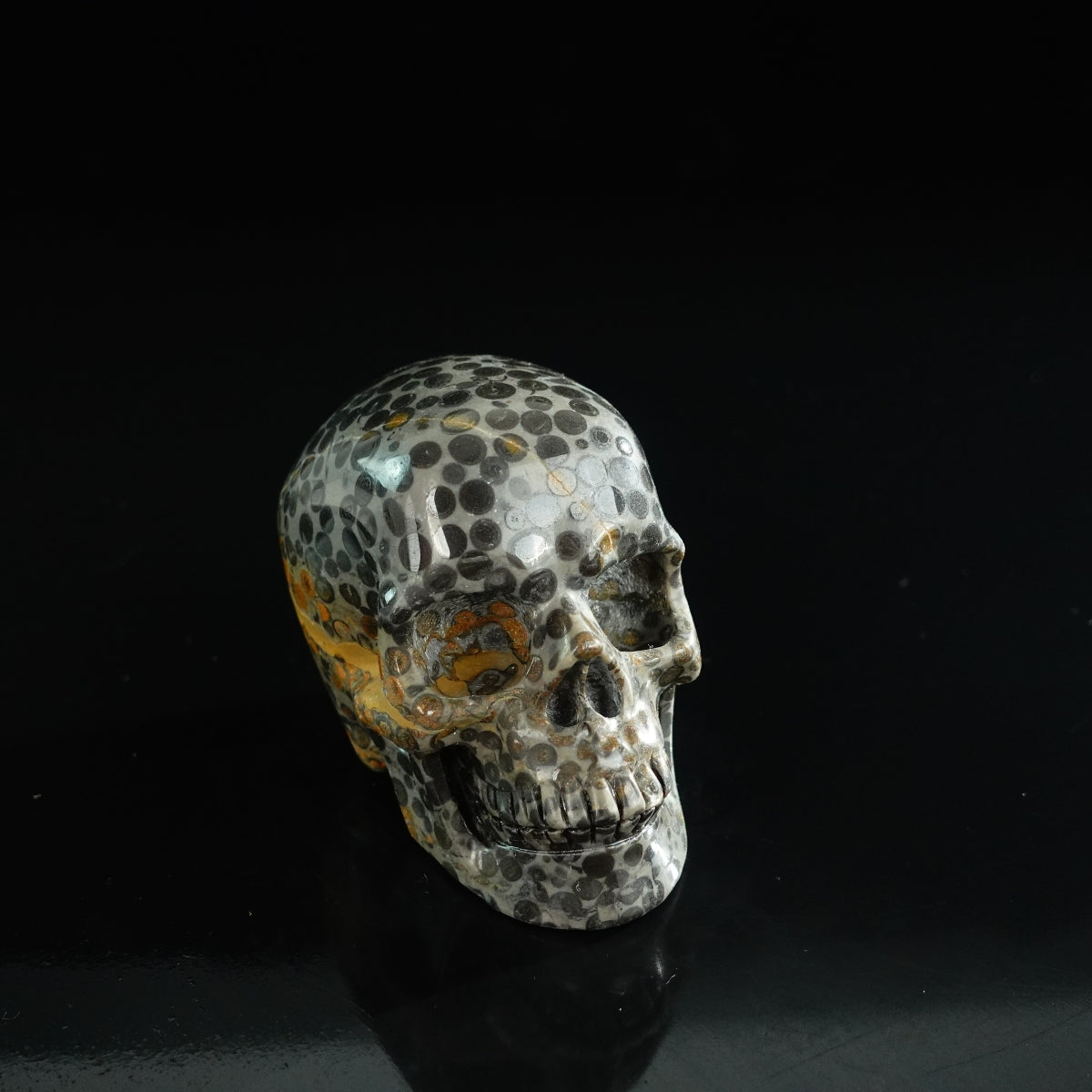 3.0" Leopard skin jasper Crystal Skull Carving - Unique Piece #LK06